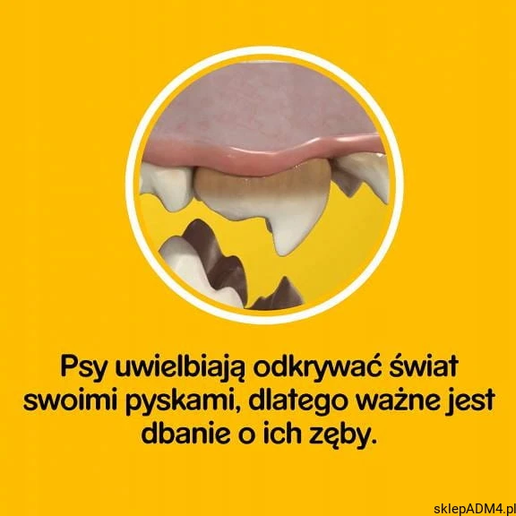 8b48063224efdce2c8dae26b07a08054