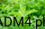 e49762bfaedb197cb3683a69794a1f20