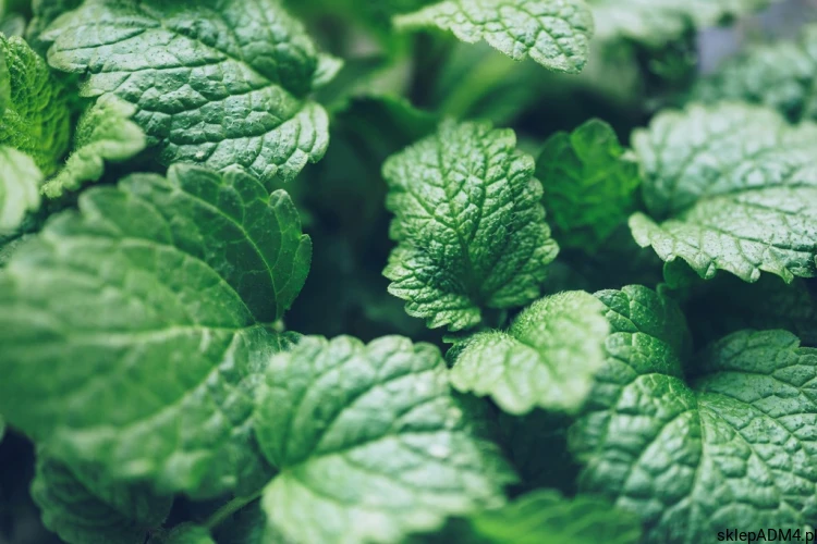 febbddef958266ce1b40b074f6982d0f