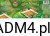 f92480a461a56881f27af4c286873dfe