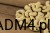 4494445996075d49bf55c49384018651