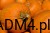 cf0813bb92593b1fb3b4cc2ca5cf4824