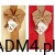 149e3061a130e47419fb9fa352c6164c